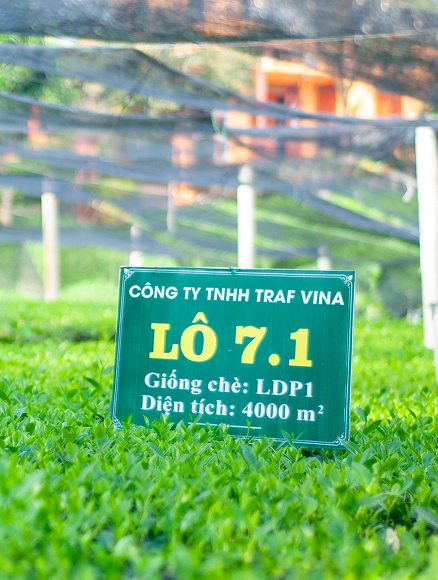 Ướp hương tự nhiên